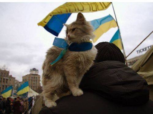 Заявление МИД РФ. Похоже это война., Политика
