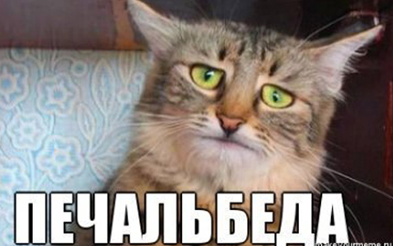 Купил и не работает !