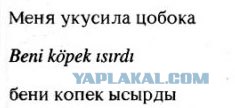 Турецкий разговорник для иностранцев