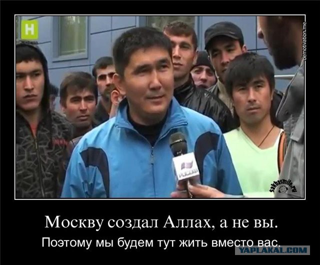 Выздоравливай