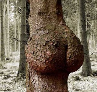 Подборка прикольных фото.