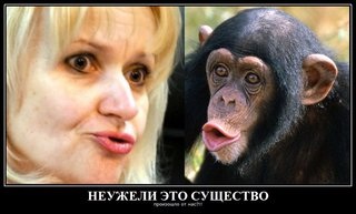 Мразь Тимошенко благодарит фашистов в Одессе
