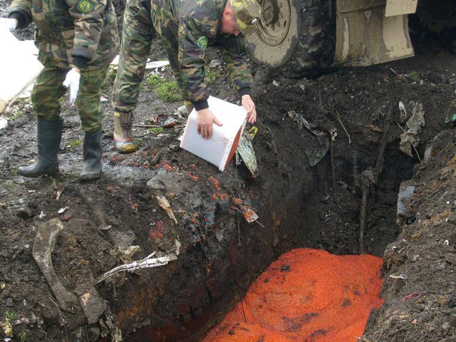 Как сгорает тонна красной икры