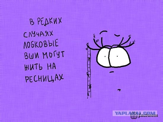 Факты в картинках