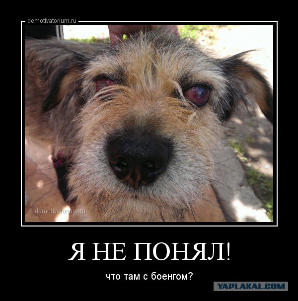 Первый из боингов нашёлся