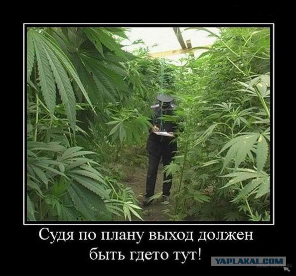 Чёрт, чёрт, чёрт!