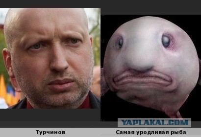 Ихтиандр! Ыбонька ты моя!