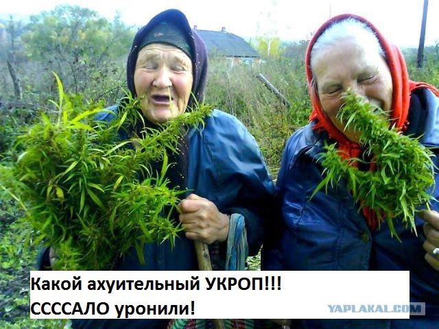 Порошенко признал себя укропом