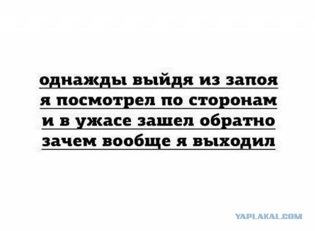 Моя подборка веселенькой мути