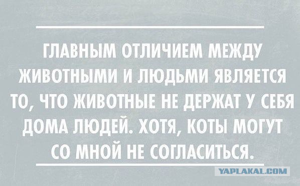 С Тяпницей!