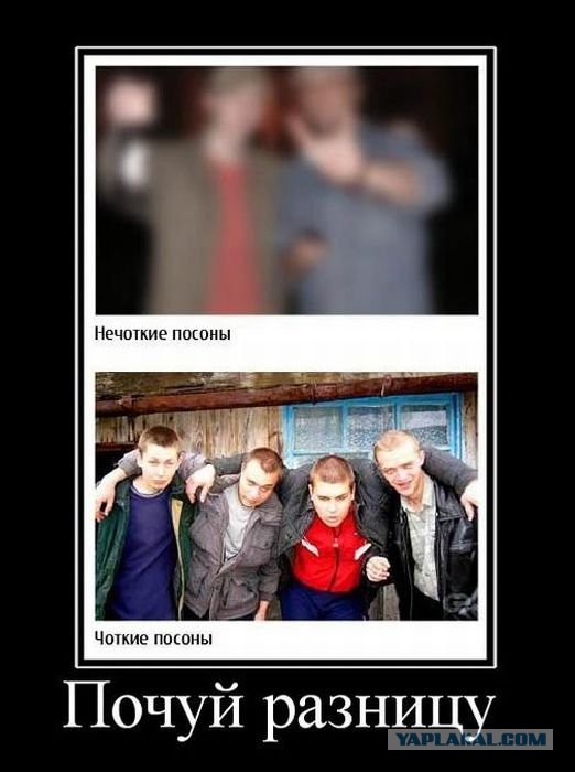 Веселые картинки