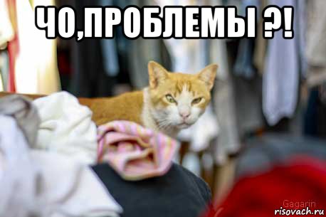 Надоевший всем ГОА с другой стороны.