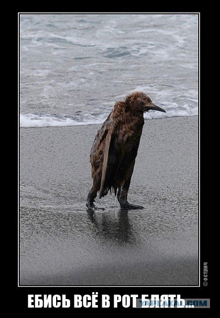 Ты чего как шлюха накрасилась ?