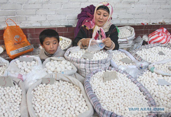 Курт сыр казахский