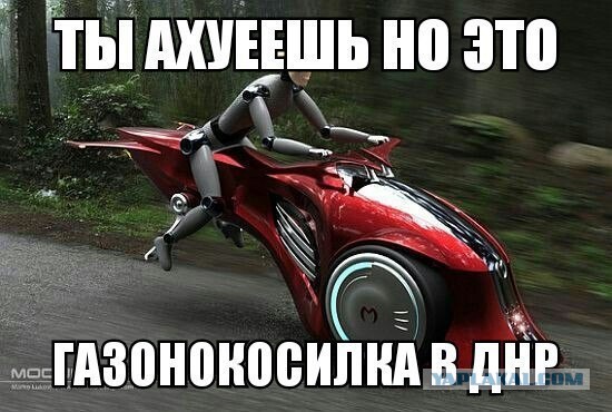 Мы получили номера образца ДНР!