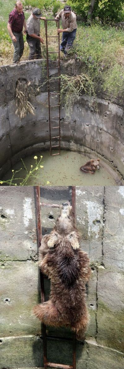 Веселые картинки