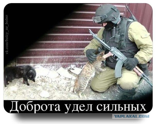 с Днем Рождения, Гиви!
