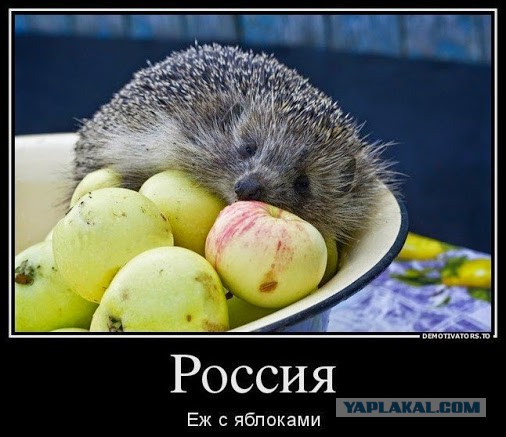 Опыт сравнительной бобрологии