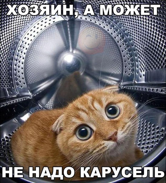 Весёлые картинки
