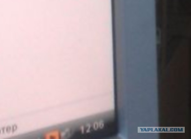 Рабочие будни моего начальника