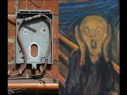 Они живые. Они смотрят на нас!