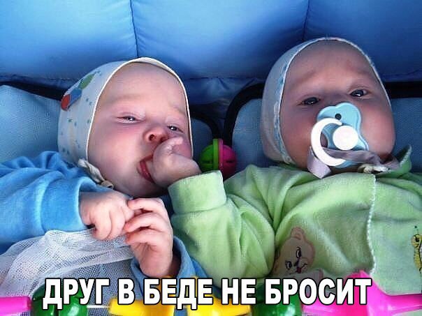 Немного картинок и гифок.