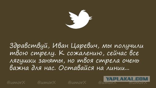 Смешные комментарии из социальных сетей 11.11.2016