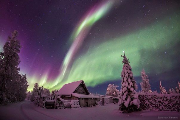 Моменты, запечатлённые на фото и просто позитив 5