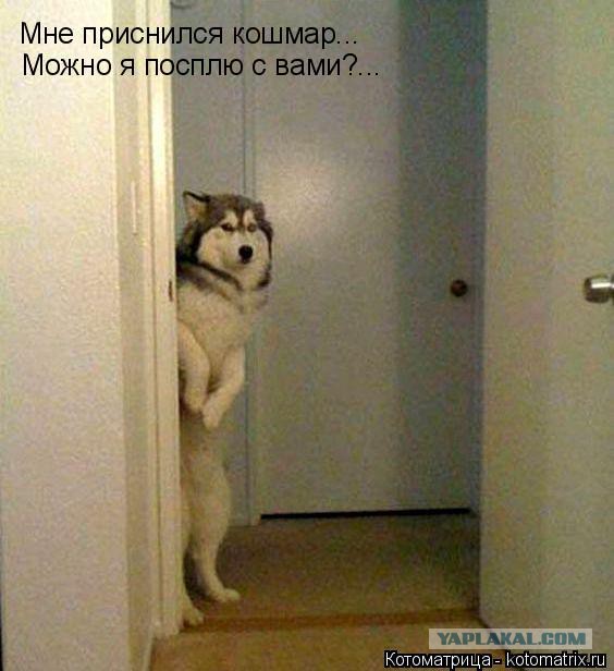 Сонный паралич. Моя история.