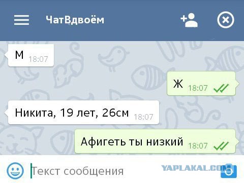 Смешные комментарии из социальных сетей 22.02.2017