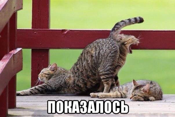 Всякие разные картинки
