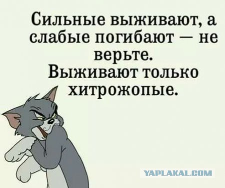 Очередной успех SpaceX - компания впервые вывела на орбиту военный спутник