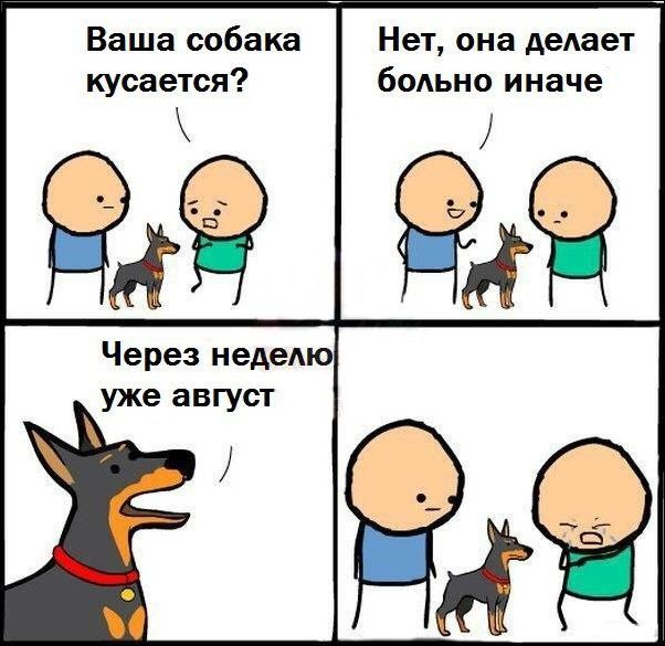 Приколы в стиле "регресс"