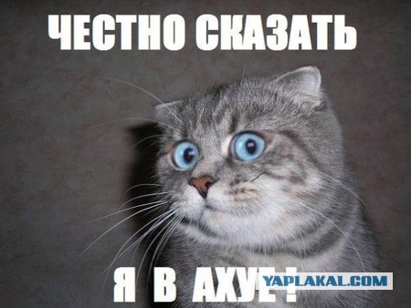 Американцы и Луна - ?