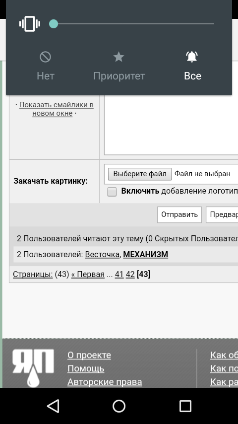 Беседка ФиС ЯПа 2