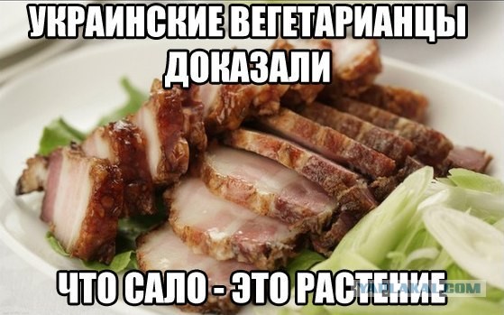 А вот и деградация подтянулась! Ныряем в омут с головой!