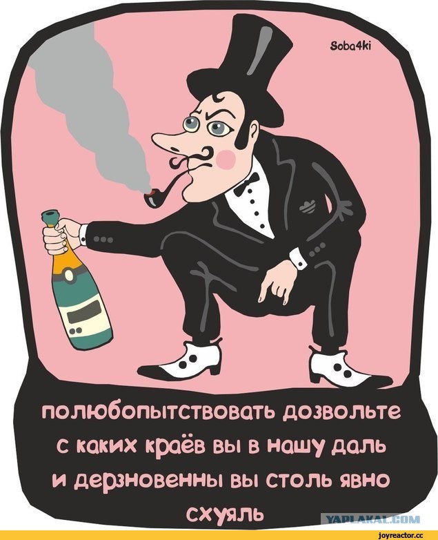 Стычка интеллигентов