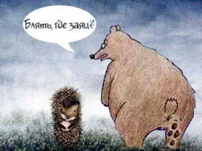 Как появилась туалетная бумага, и чем пользовались до ее изобретения