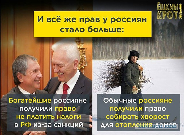 Борец с режимом