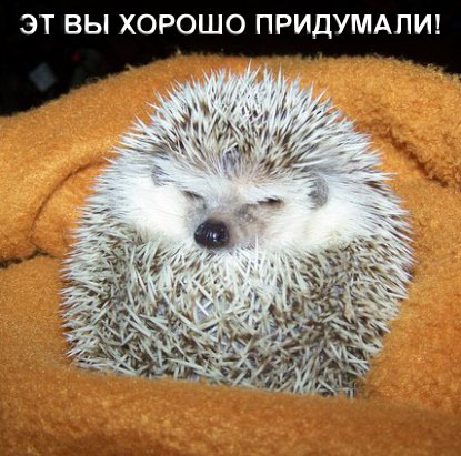 Йожиковторник на ЯПе