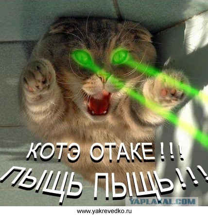 Найден автор DDOS-атак на ЯП