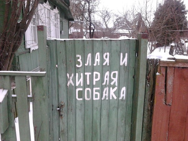 Немного картинок в это воскресенье
