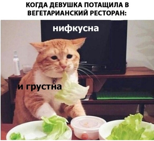 Не очень адекватный юмор