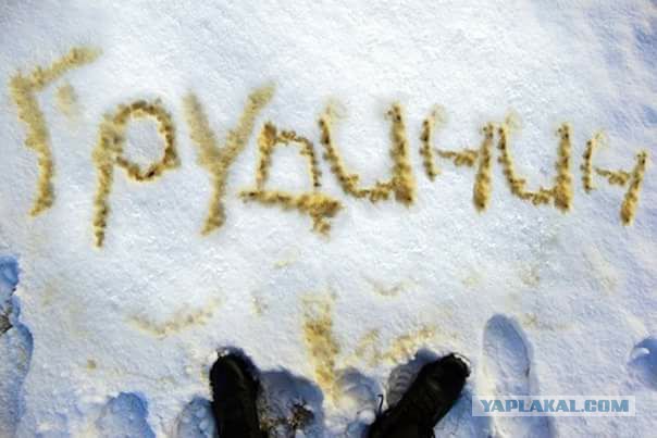 Грудинин вс единоросов