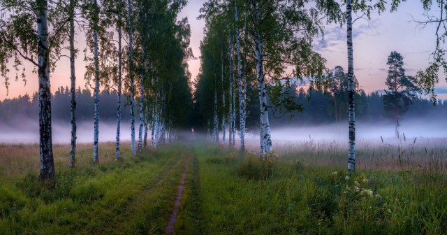 Красота сельских дорог