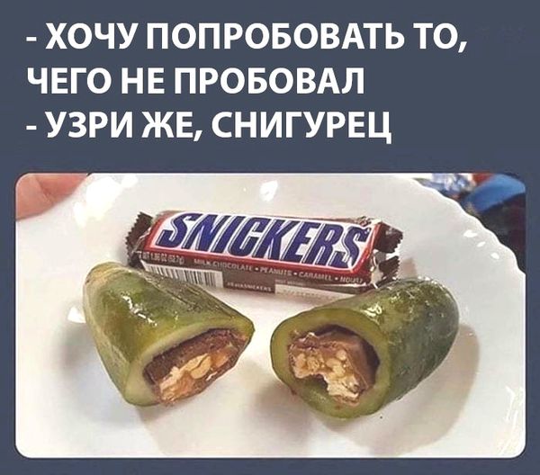 Куда катится жизнь