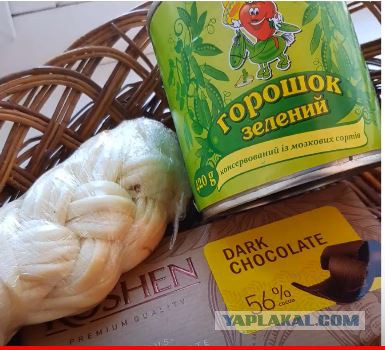 На Украине начались президентские выборы