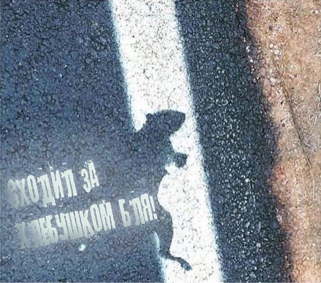 Интересные фотографии обо всем на свете
