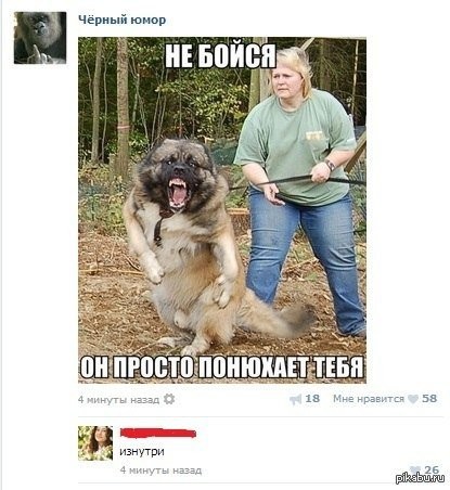 Замаскировался