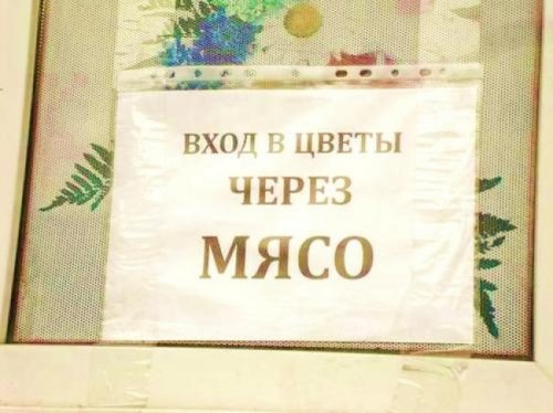 Картинки для улыбнуться - 4